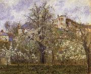 Camille Pissarro Vegetable Garden and Trees in Blossom oil painting